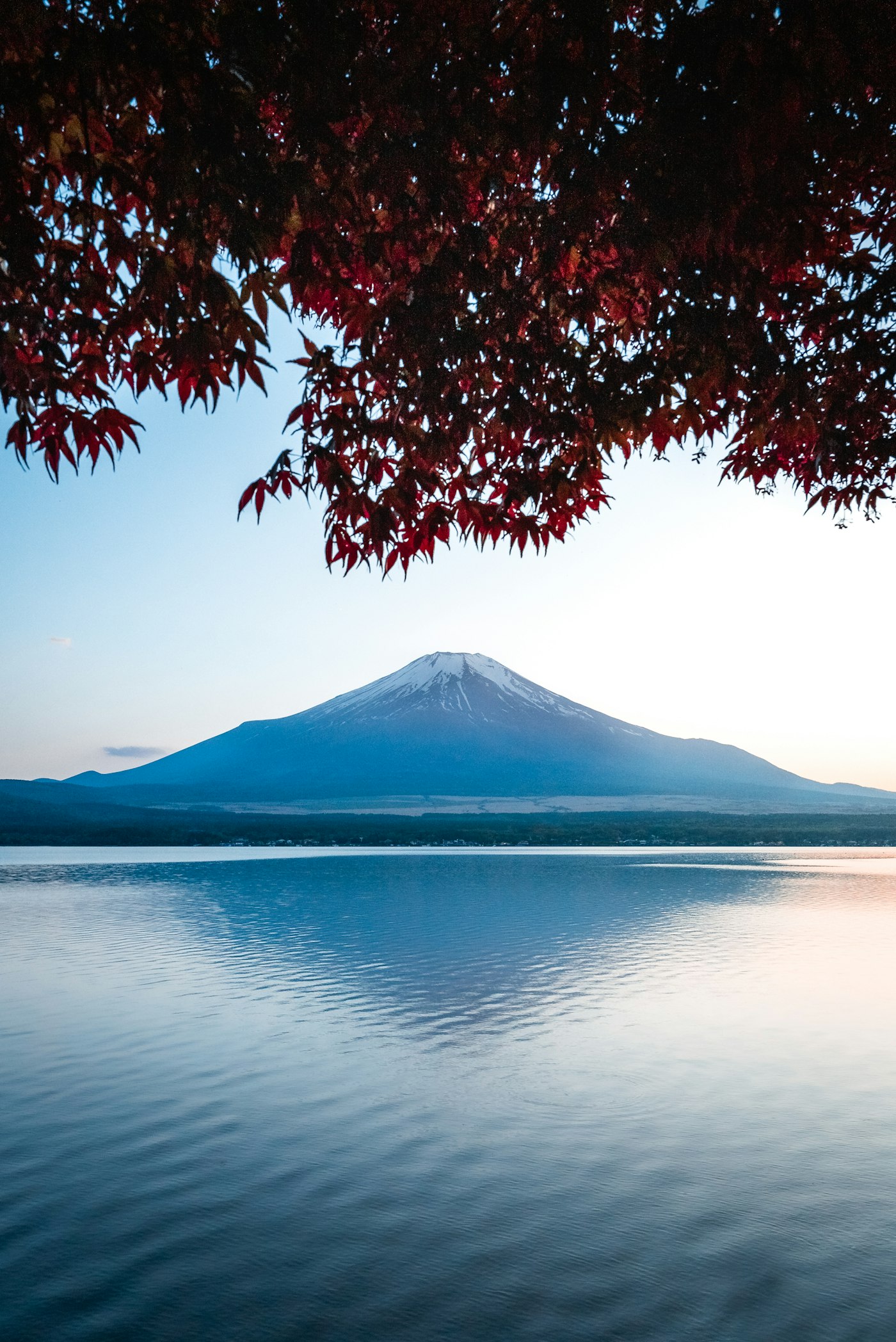 Autumn foliage and mountain view in Japan